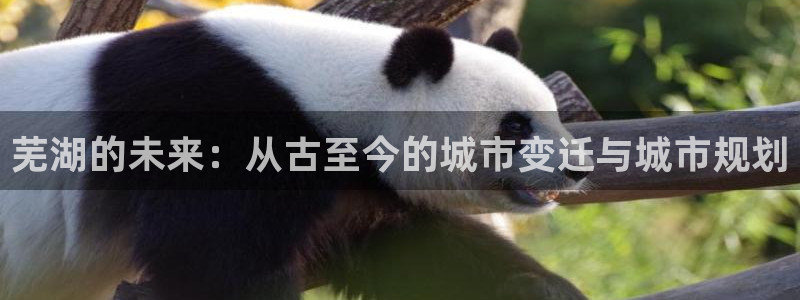 天狮娱乐 b内部61166