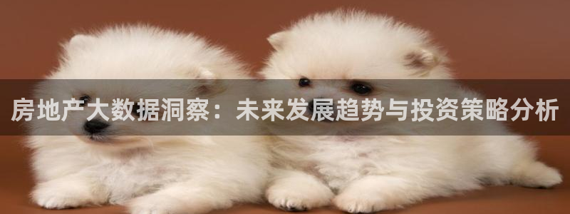 天狮娱乐f 判官：房地产大数据洞察：未来发展趋势与投资策略分