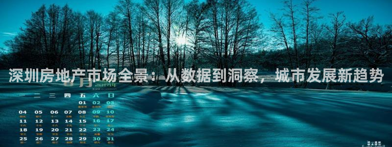 天狮娱乐黑千：深圳房地产市场全景：从数据到洞察，城市发展新趋