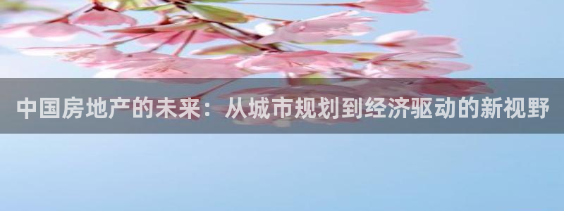 天狮娱乐骗局：中国房地产的未来：从城市规划到经济驱动的新视野