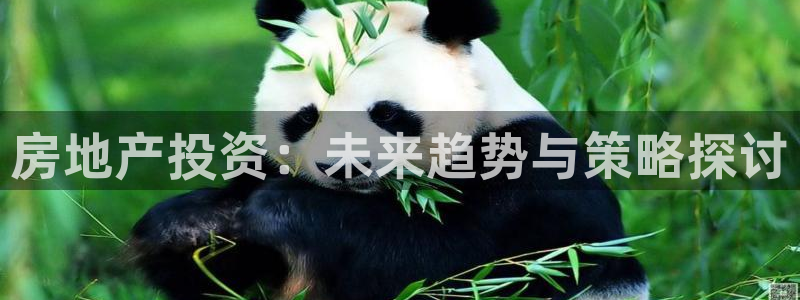 天狮娱乐是不是赌博：房地产投资：未来趋势与策略探讨
