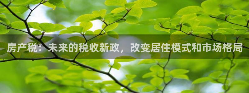 天狮娱乐彩票：房产税：未来的税收新政，改变居住模式和市场格局