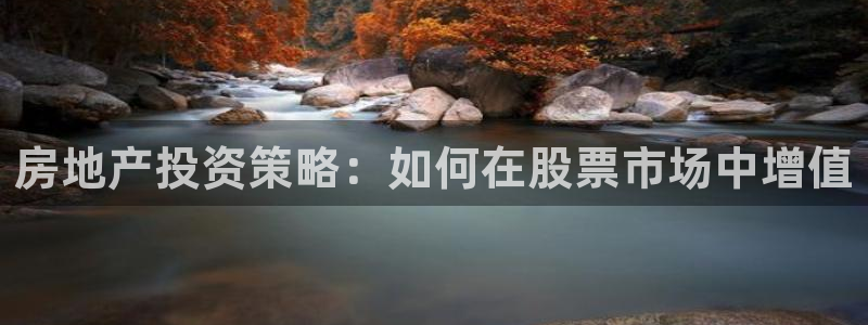天狮娱乐主管汽车之家：房地产投资策略：如何在股票市场中增值