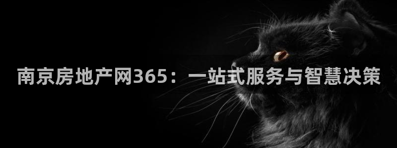 天狮娱乐用户名怎么起：南京房地产网365：一站式服务与智慧决