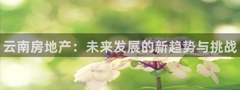 天狮会娱乐会所：云南房地产：未来发展的新趋势与挑战