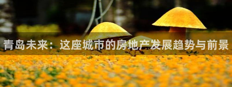 天狮娱乐26日判官333oo：青岛未来：这座城市的房地产发展