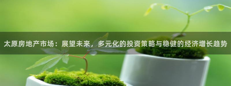 天狮娱乐彩票：太原房地产市场：展望未来，多元化的投资策略与稳