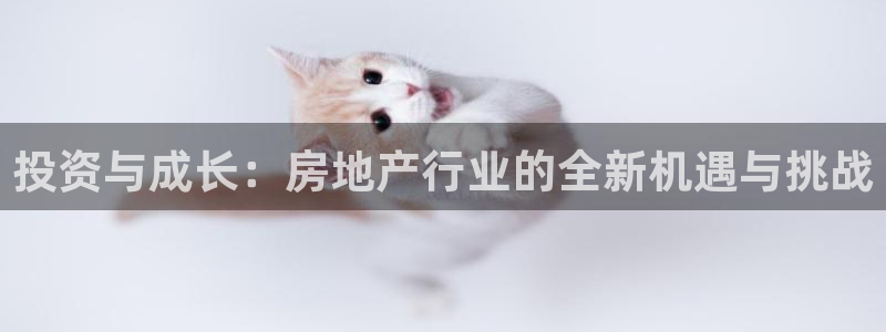天狮娱乐股东36633：投资与成长：房地产行业的全新机遇与挑
