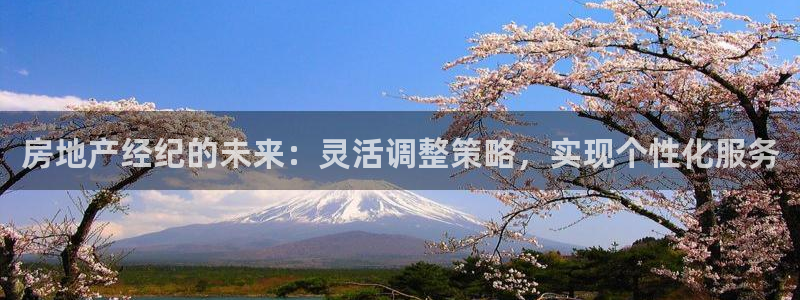 有玩天狮娱乐：房地产经纪的未来：灵活调整策略，实现个性化服务