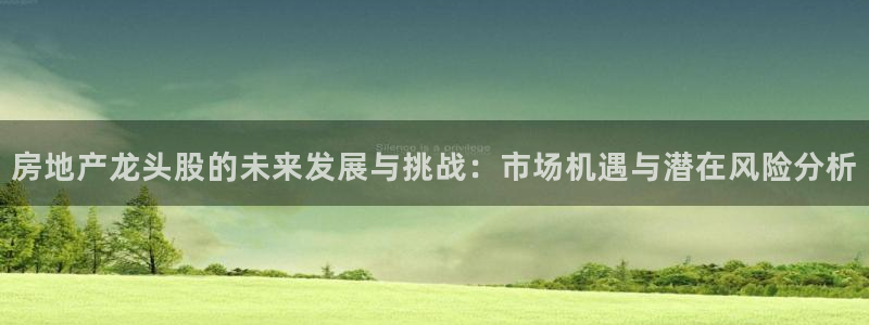 天狮娱乐 b运营67646：房地产龙头股的未来发展与挑战：市