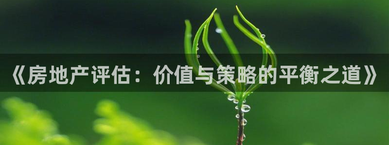天狮娱乐学：《房地产评估：价值与策略的平衡之道》