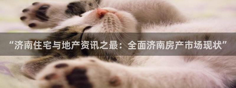 天狮娱乐叶哥：“济南住宅与地产资讯之最：全面济南房产市场现状