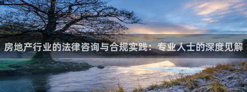 天狮娱乐　23976实c力：房地产行业的法律咨询与合规实践：