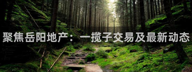 做天狮娱乐代理犯法吗：聚焦岳阳地产：一揽子交易及最新动态