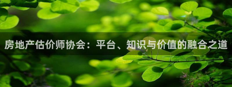 天狮娱乐60447股东：房地产估价师协会：平台、知识与价值的