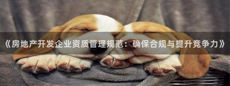 天狮天狮娱乐下载：《房地产开发企业资质管理规范：确保合规与提