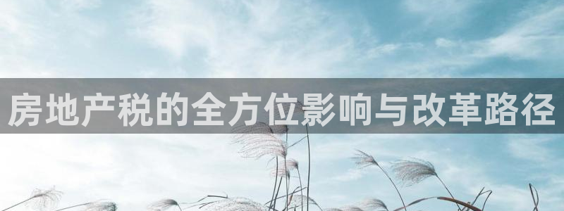 天狮娱乐直招64681：房地产税的全方位影响与改革路径