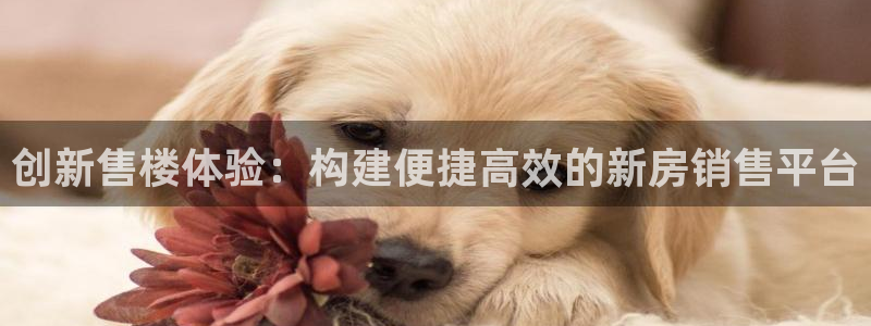 天狮娱乐61116：创新售楼体验：构建便捷高效的新房销售平台
