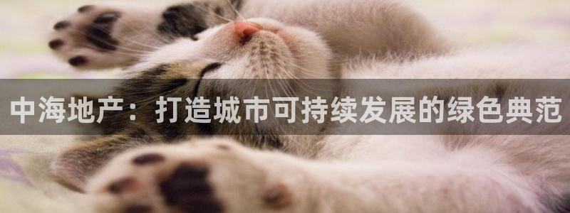 天狮娱乐240040q：中海地产：打造城市可持续发展的绿色典