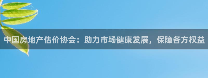 du天狮娱乐 主管注册官网：中国房地产估价协会：助力市场健康