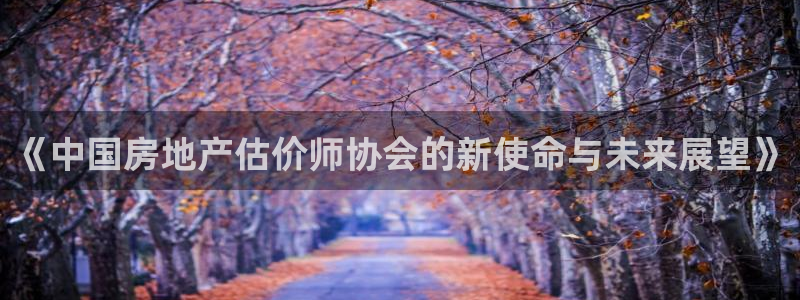 天狮娱乐家：《中国房地产估价师协会的新使命与未来展望》
