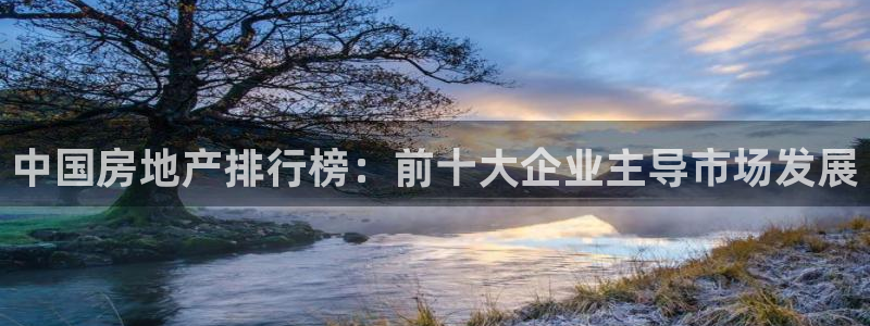 天狮娱乐bd33net广告：中国房地产排行榜：前十大企业主导