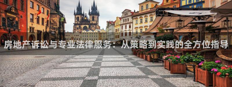 du天狮娱乐 主管注册官网：房地产诉讼与专业法律服务：从策略