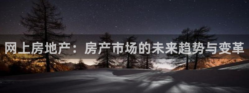 天狮娱乐哪里注册：网上房地产：房产市场的未来趋势与变革