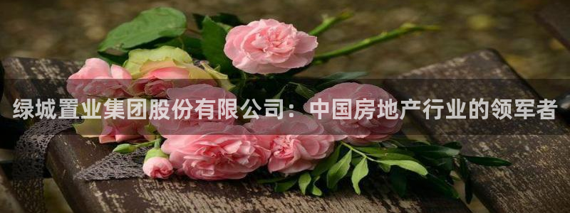 天狮娱乐所：绿城置业集团股份有限公司：中国房地产行业的领军者
