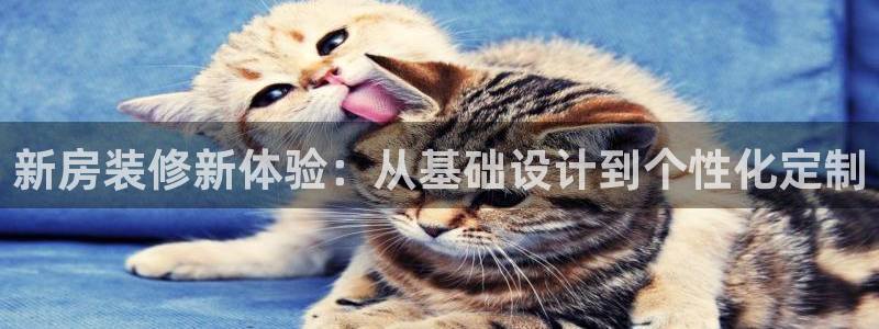 天狮娱乐违法行为：新房装修新体验：从基础设计到个性化定制