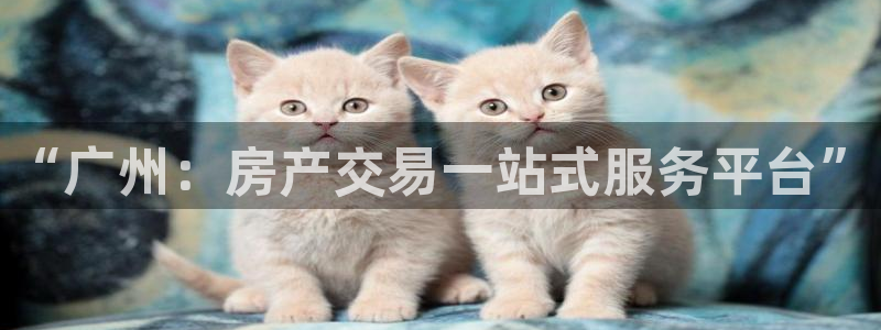 天狮娱乐 a主57661管：“广州：房产交易一站式服务平台”