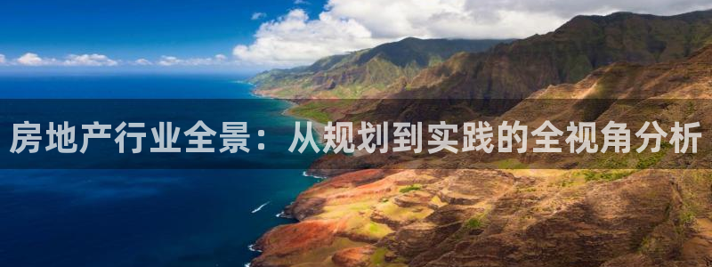 天狮娱乐平台找谁：房地产行业全景：从规划到实践的全视角分析