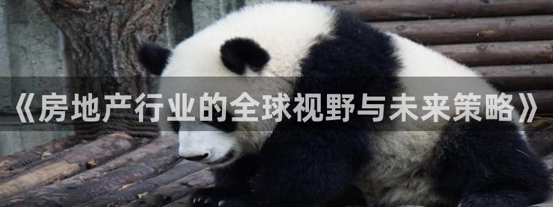 天狮娱乐会员：《房地产行业的全球视野与未来策略》