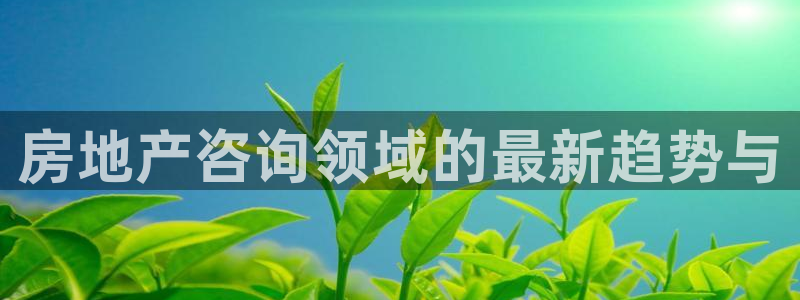 天狮娱乐待遇：房地产咨询领域的最新趋势与