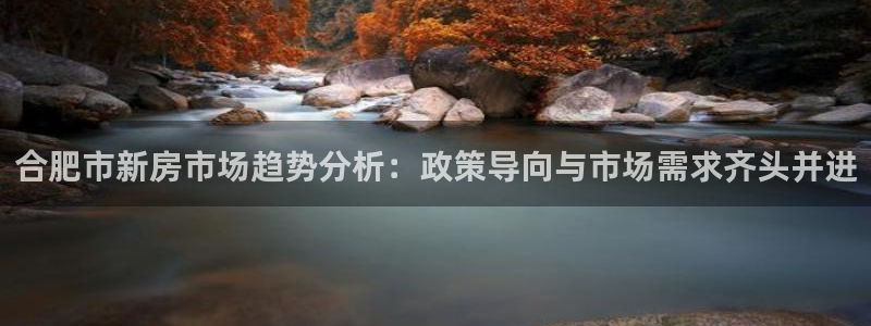 天狮娱乐待遇：合肥市新房市场趋势分析：政策导向与市场需求齐头