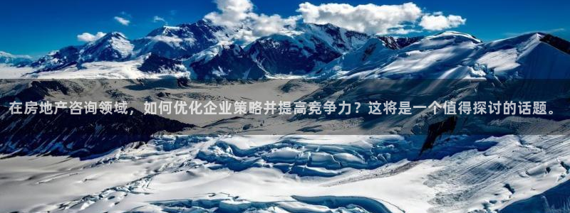 天狮娱乐平台注册官网：在房地产咨询领域，如何优化企业策略并提