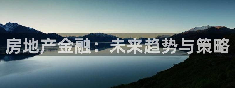 天狮娱乐里：房地产金融：未来趋势与策略