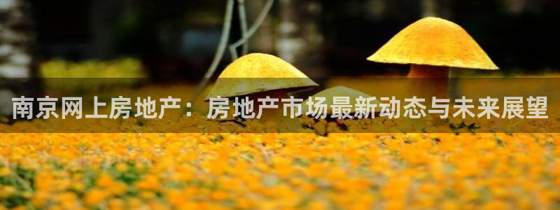 天狮娱乐下载：南京网上房地产：房地产市场最新动态与未来展望