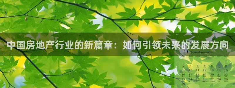 天狮娱乐 c主管57661：中国房地产行业的新篇章：如何引领