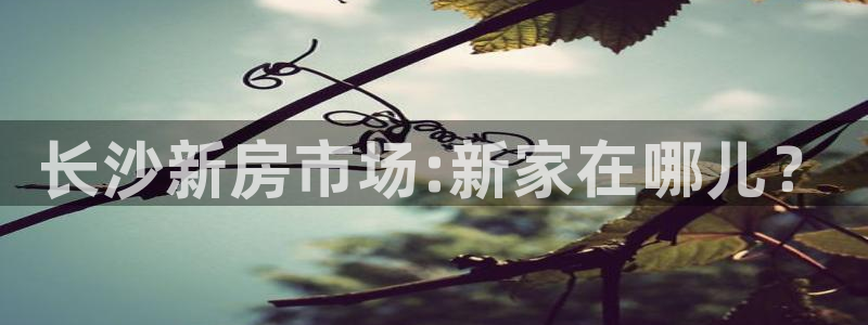 天狮娱乐行：长沙新房市场:新家在哪儿？