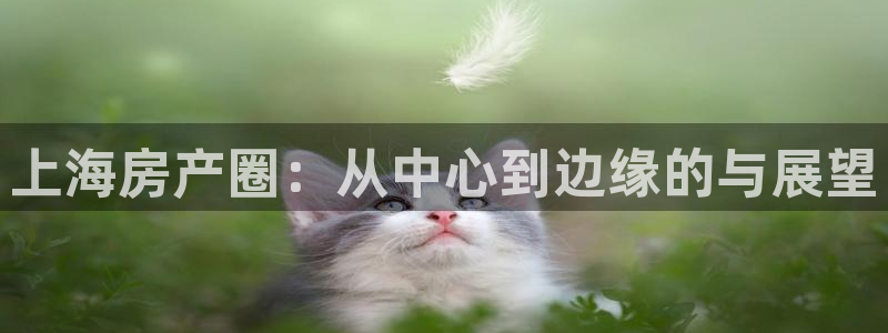 天狮娱乐卧J招商60447：上海房产圈：从中心到边缘的与展望