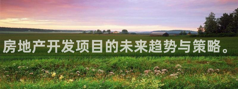 天狮娱乐丶品rd01 vip：房地产开发项目的未来趋势与策略