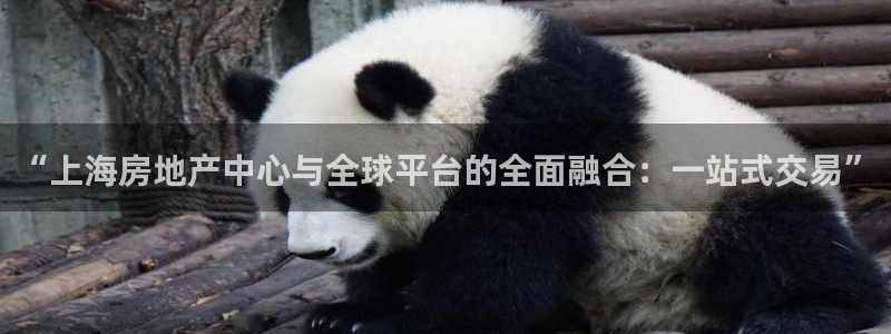 天狮娱乐 a招商67646：“上海房地产中心与全球平台的全面