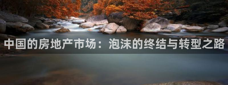 天狮娱乐 a内部29229：中国的房地产市场：泡沫的终结与转
