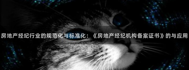 天狮娱乐官网：房地产经纪行业的规范化与标准化：《房地产经纪机