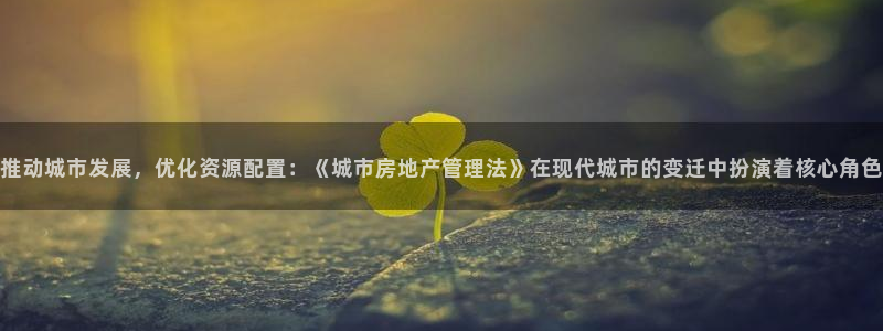 天狮娱乐138do点c0m：推动城市发展，优化资源配置：《城