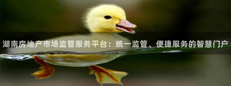 天狮娱乐哪里注册：湖南房地产市场监管服务平台：统一监管、便捷