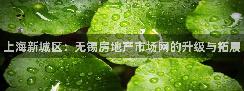 天狮娱乐行：上海新城区：无锡房地产市场网的升级与拓展