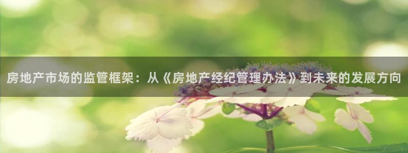 天狮娱乐 a招商60447：房地产市场的监管框架：从《房地产