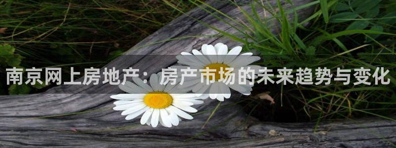 天狮娱乐指尖下载手机版：南京网上房地产：房产市场的未来趋势与
